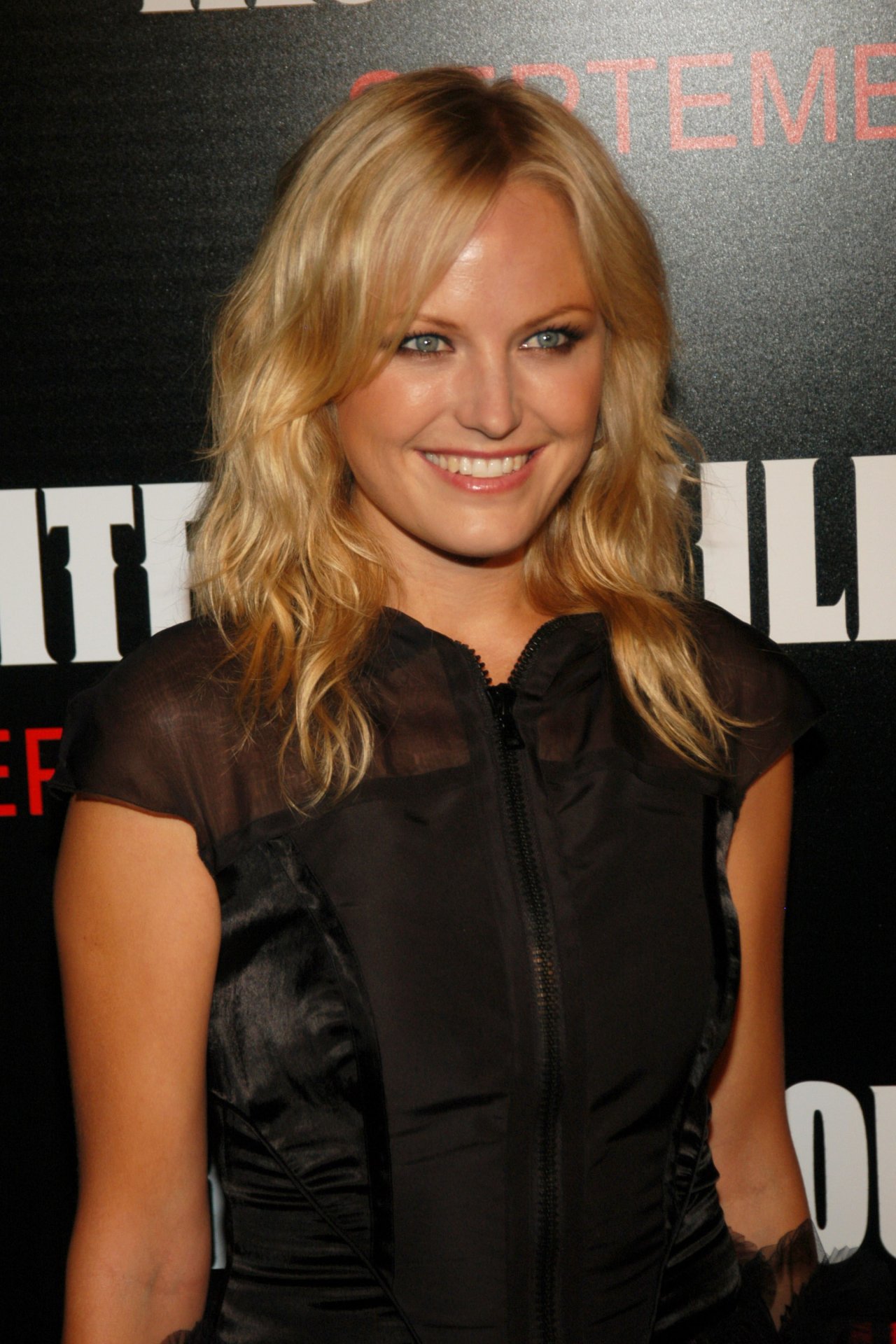 Malin Akerman leaked wallpapers