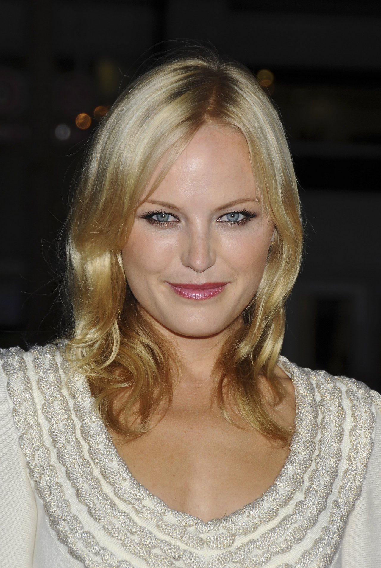 Malin Akerman leaked wallpapers