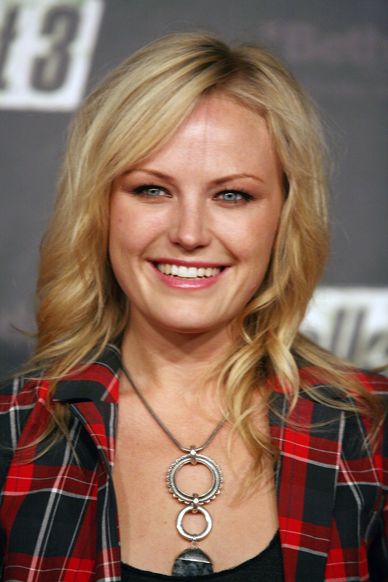 Malin Akerman leaked wallpapers