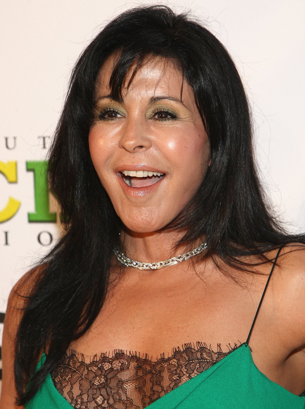 Maria Conchita Alonso leaked wallpapers