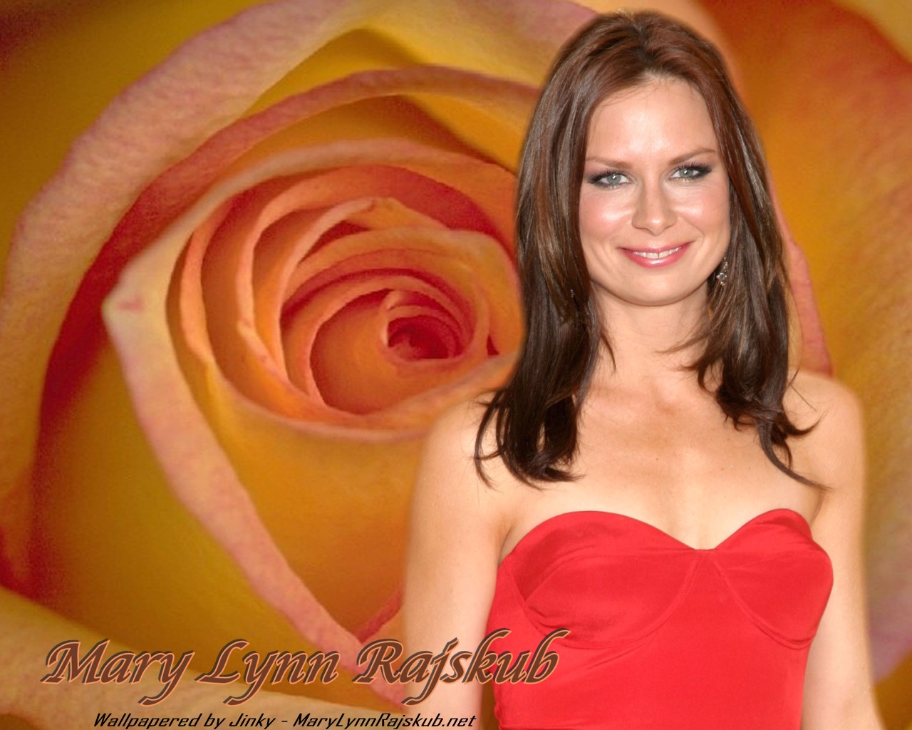 Mary Lynn Rajskub leaked wallpapers