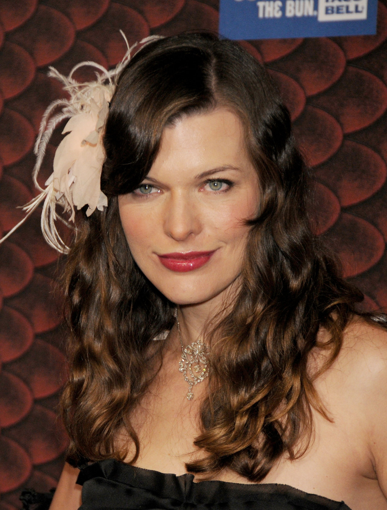 Milla Jovovich leaked wallpapers