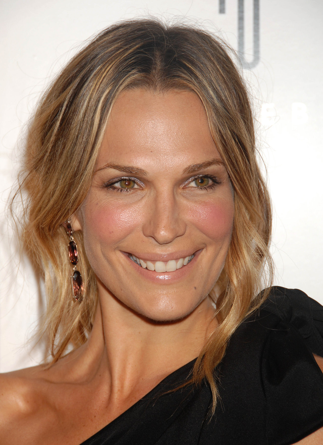 Molly Sims leaked wallpapers