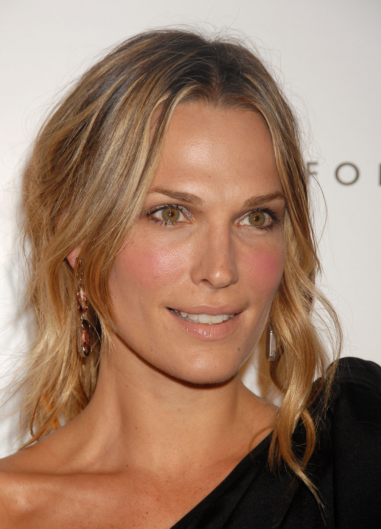 Molly Sims leaked wallpapers