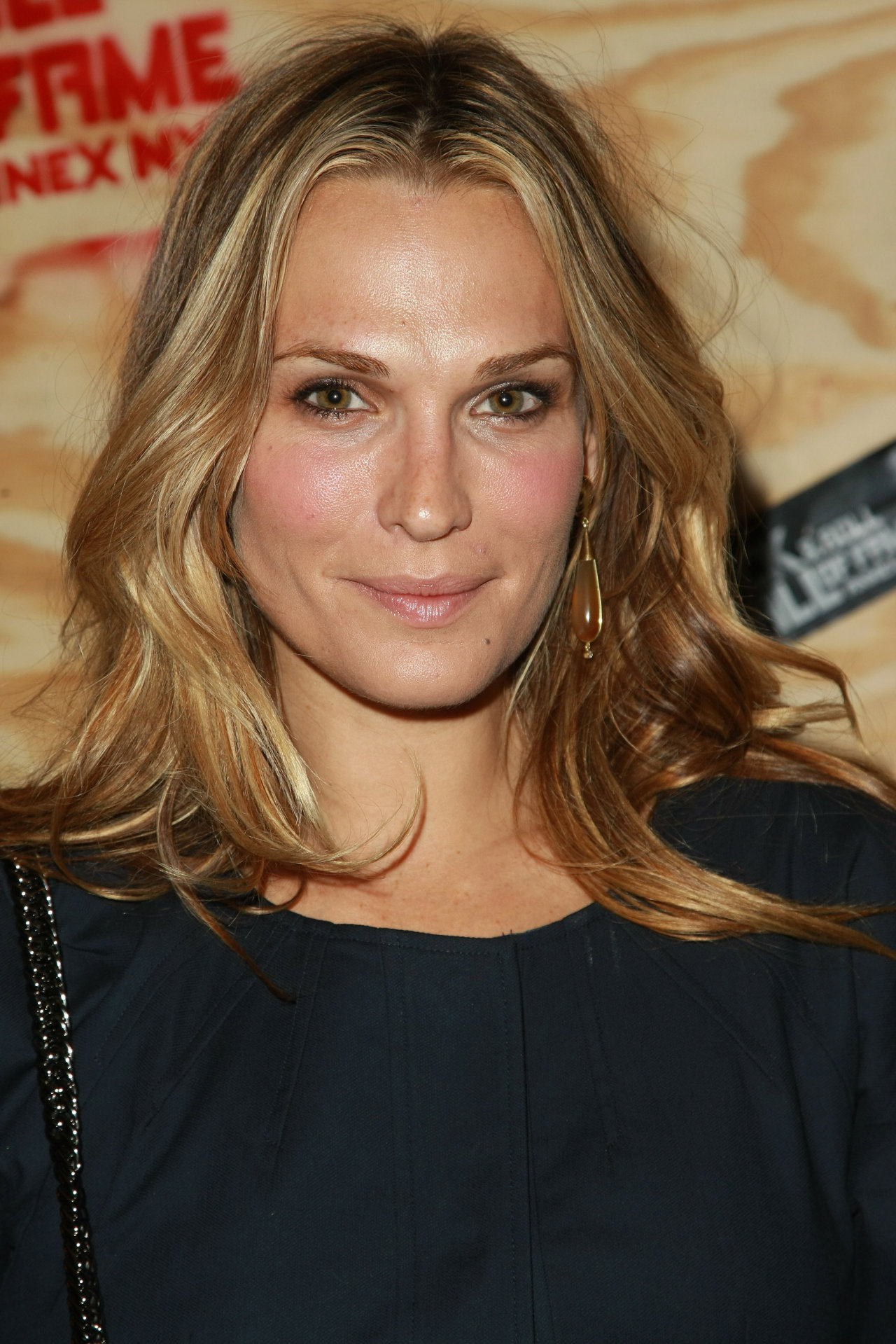 Molly Sims leaked wallpapers