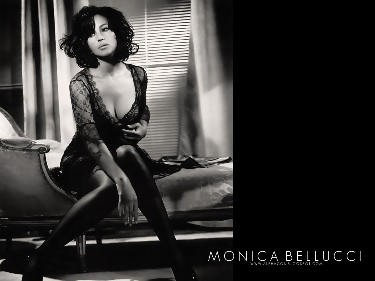 Monica Bellucci leaked wallpapers