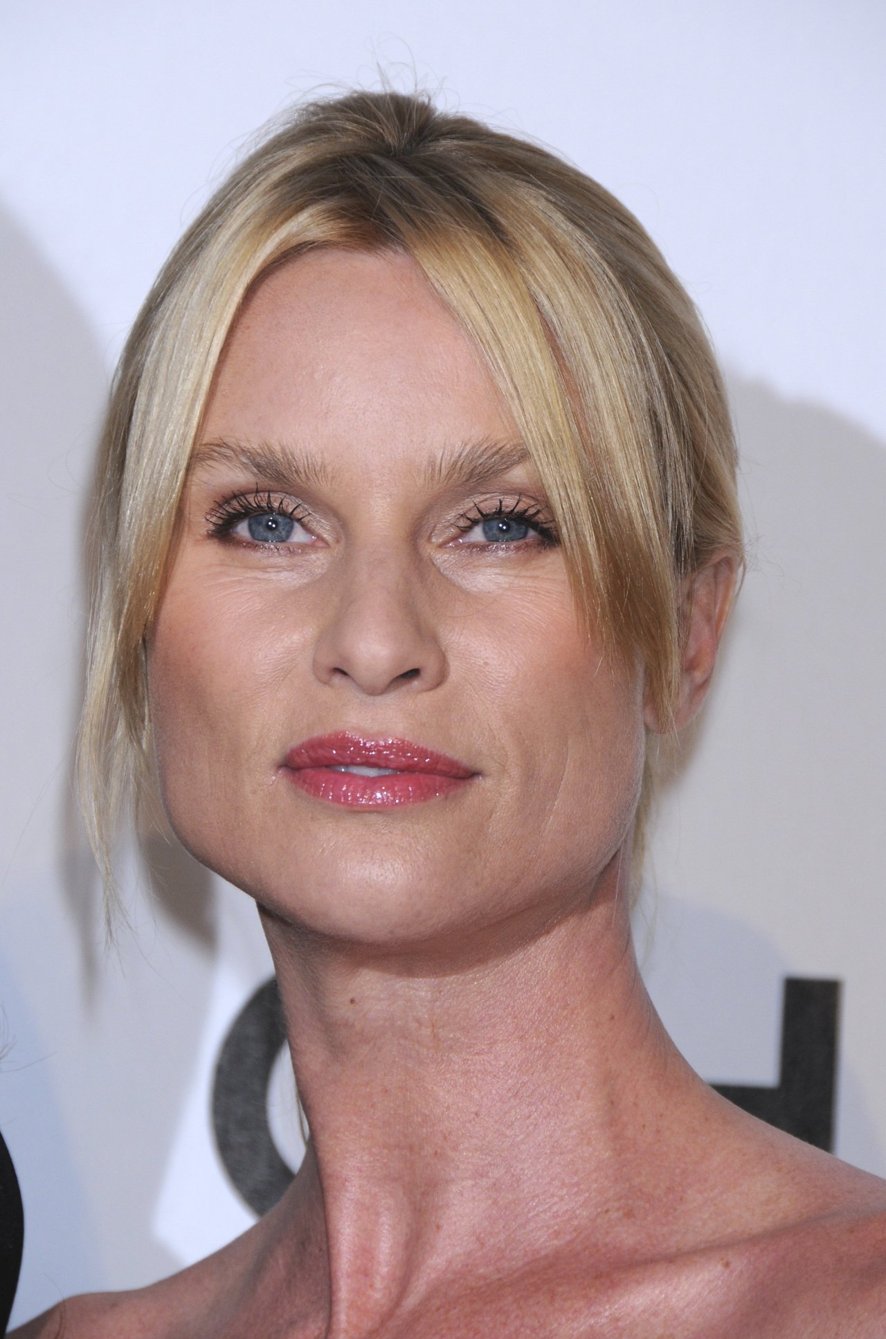 Nicollette Sheridan leaked wallpapers