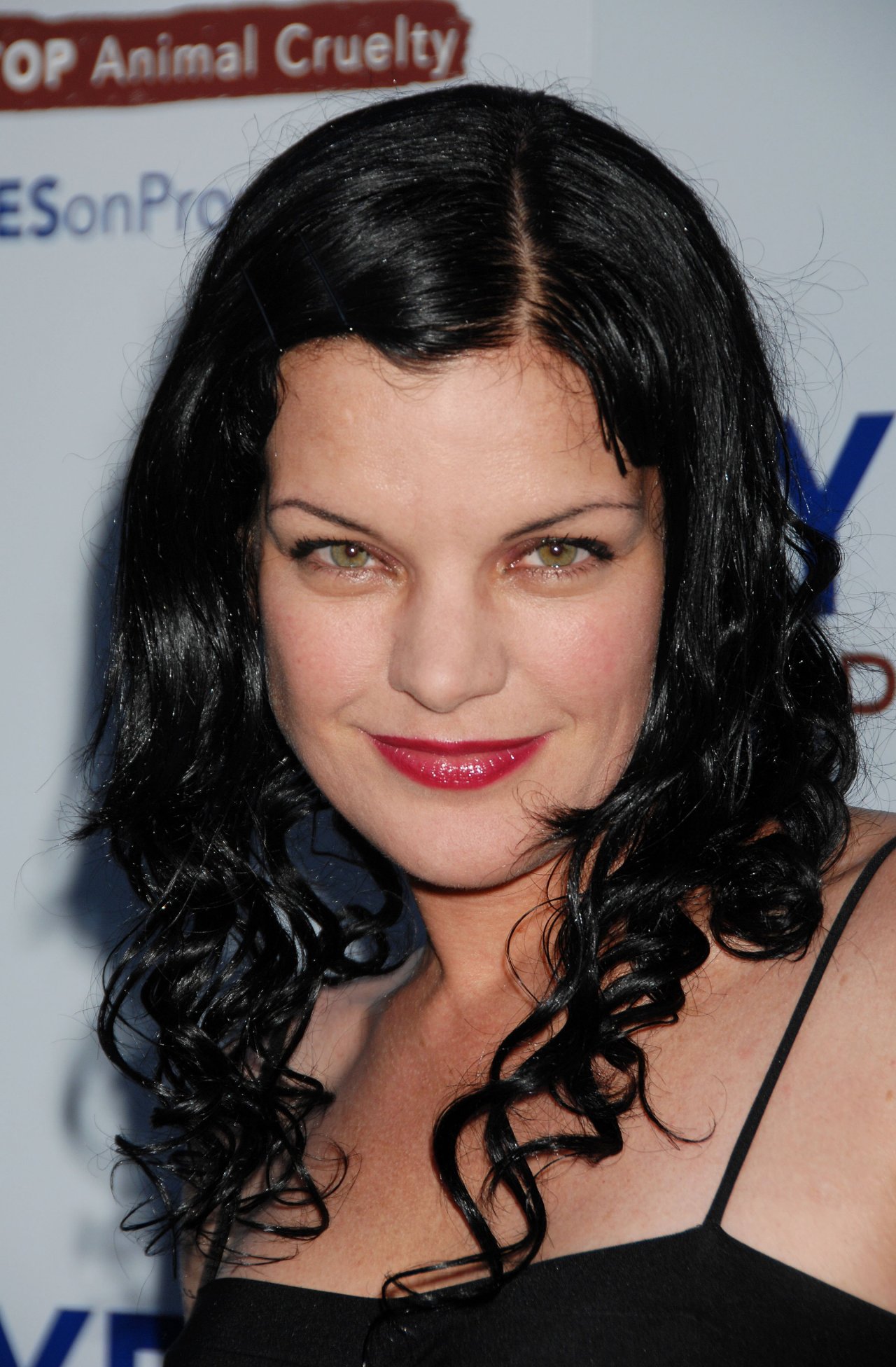 Pauley Perrette leaked wallpapers