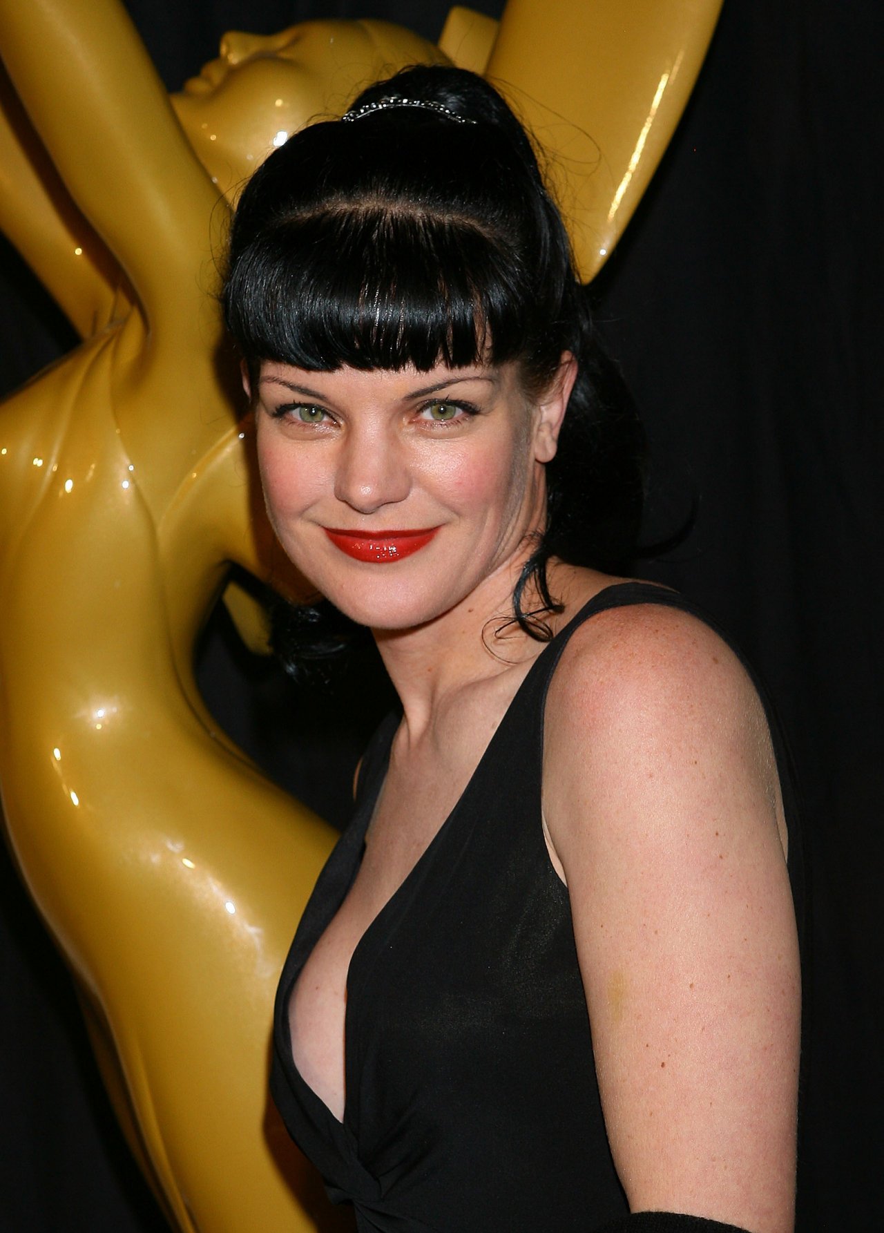 Pauley Perrette leaked wallpapers