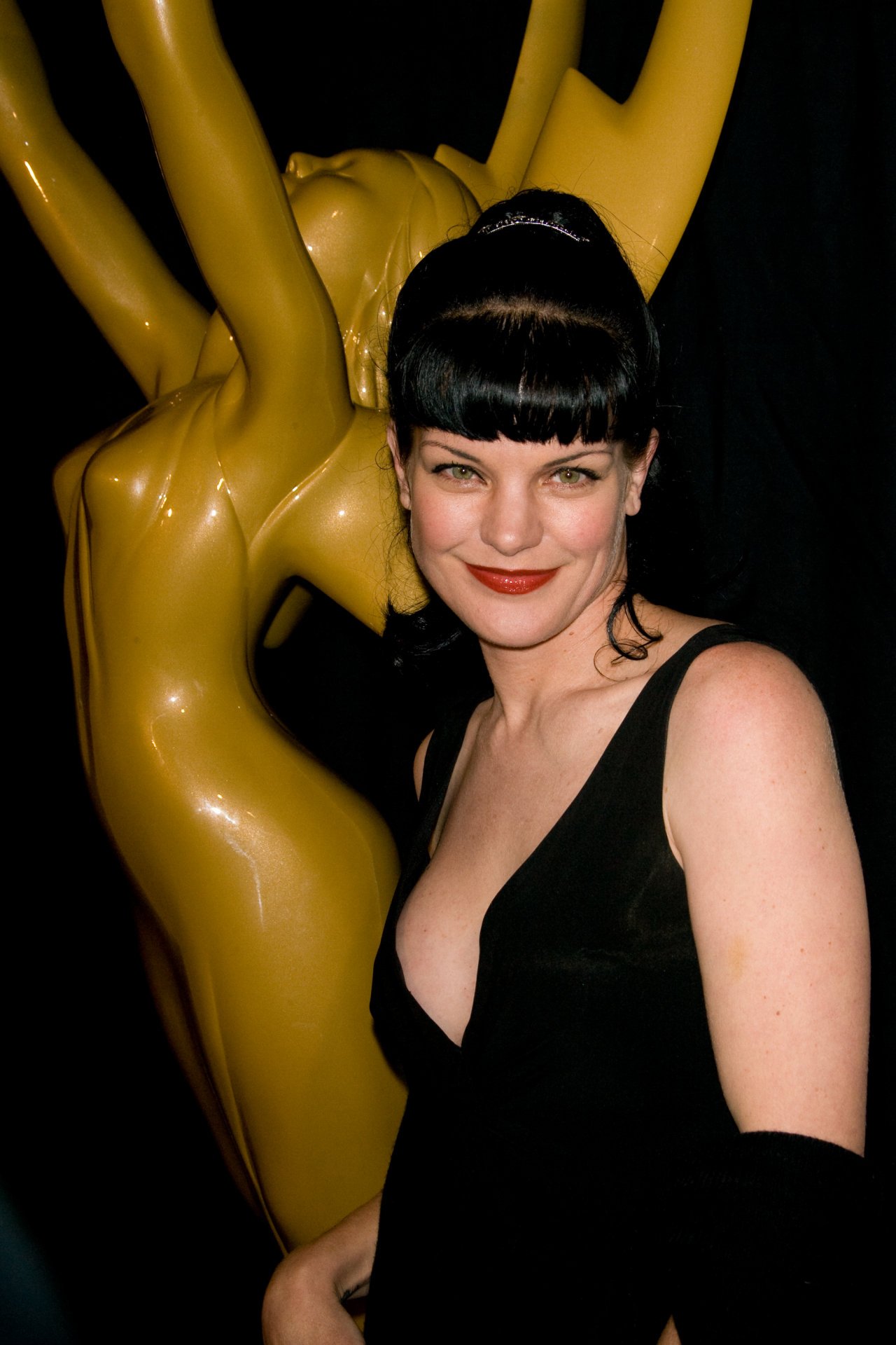 Pauley Perrette leaked wallpapers