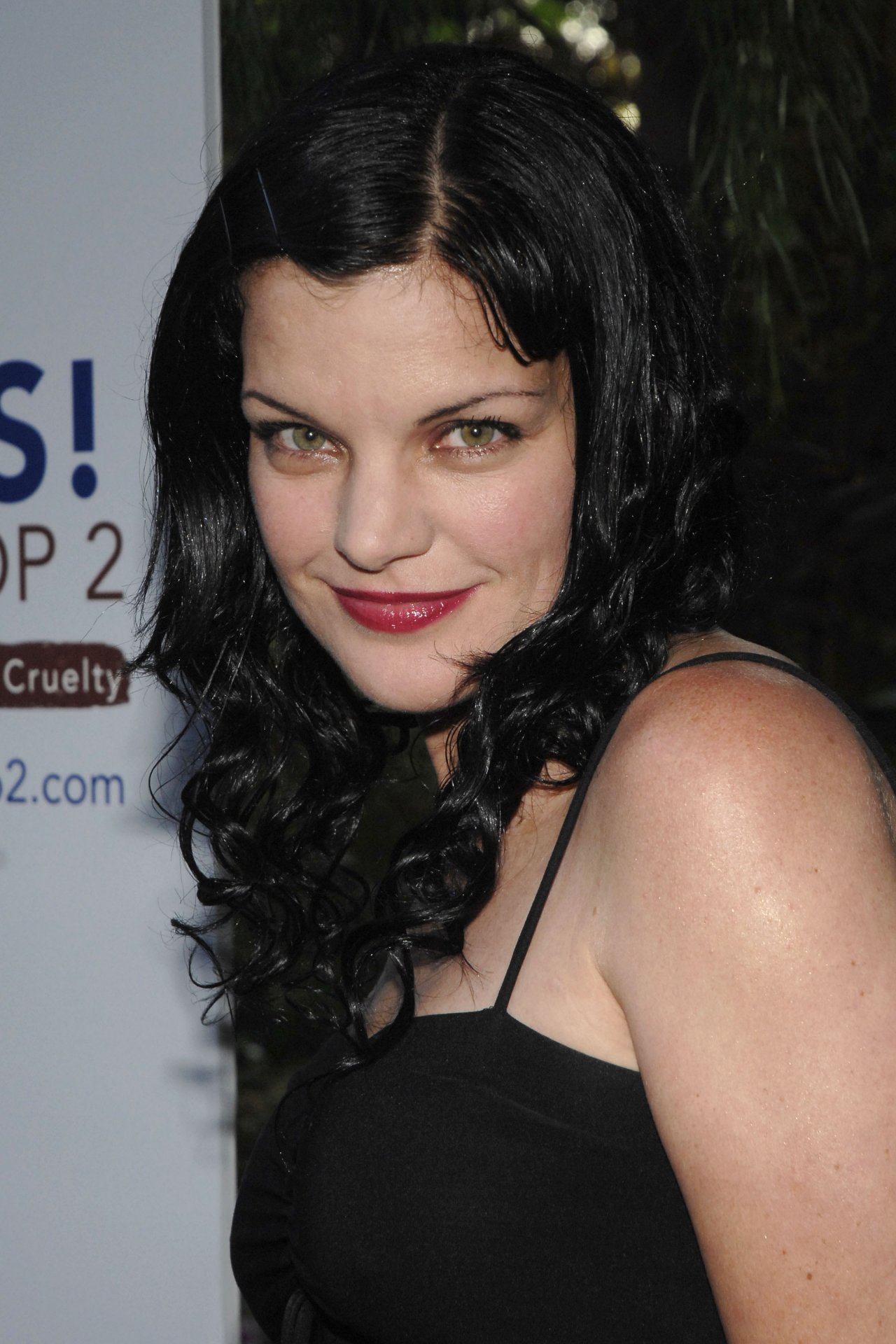 Pauley Perrette leaked wallpapers