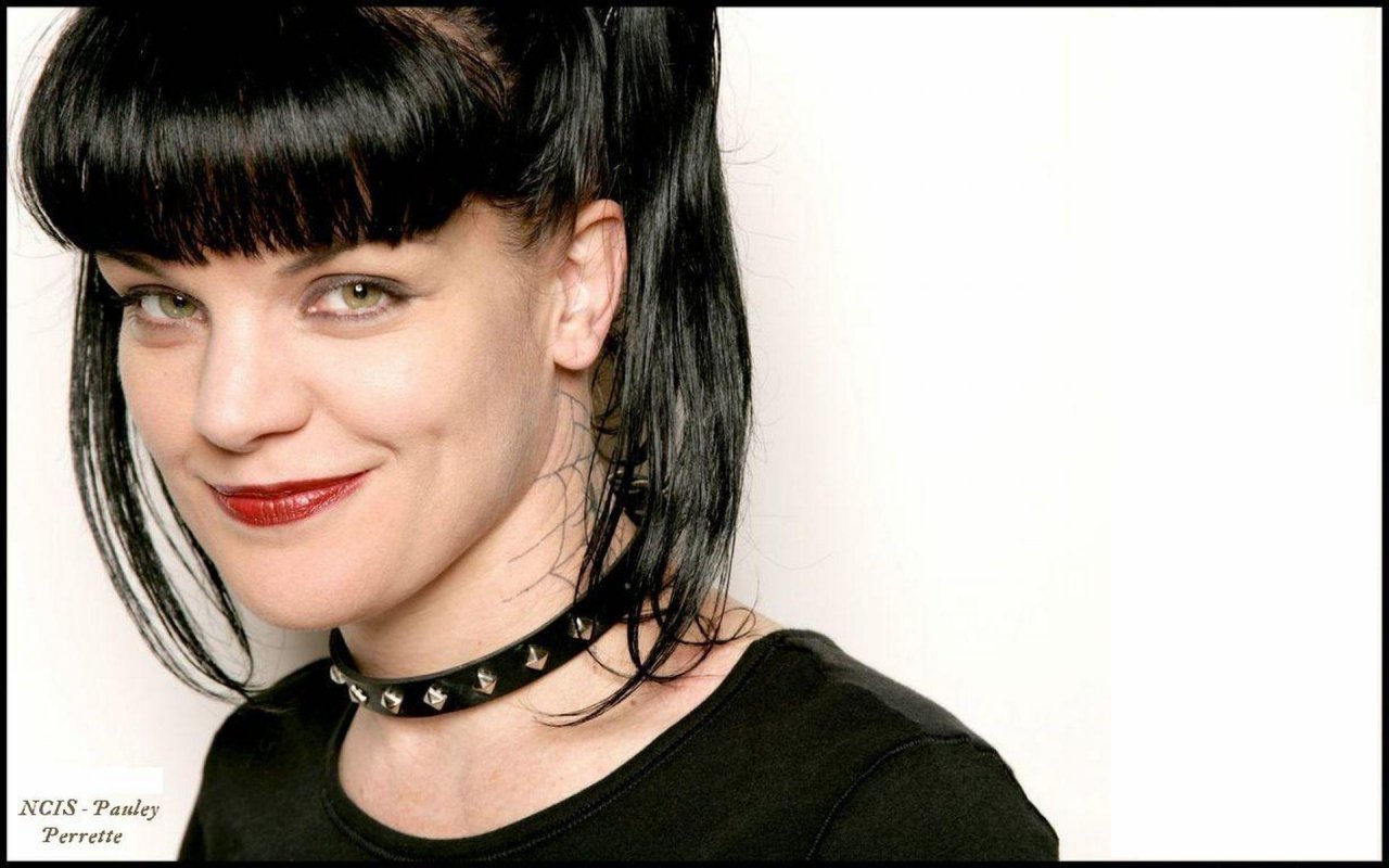 Pauley Perrette leaked wallpapers