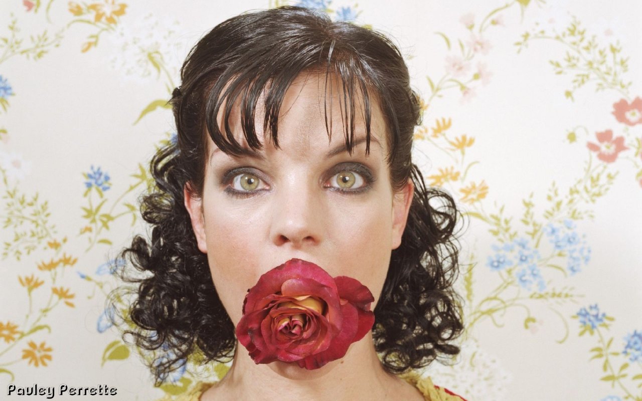 Pauley Perrette leaked wallpapers