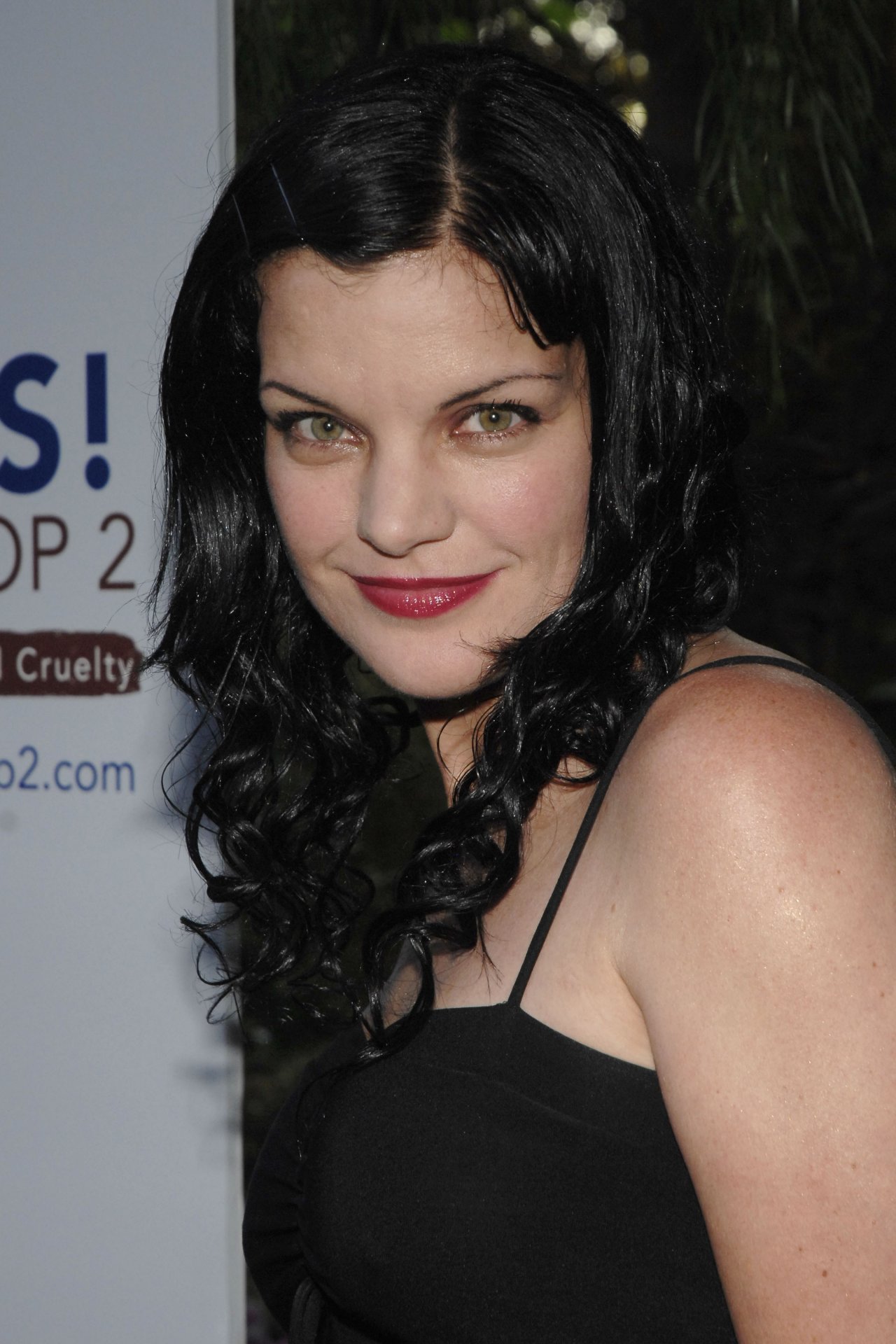 Pauley Perrette leaked wallpapers