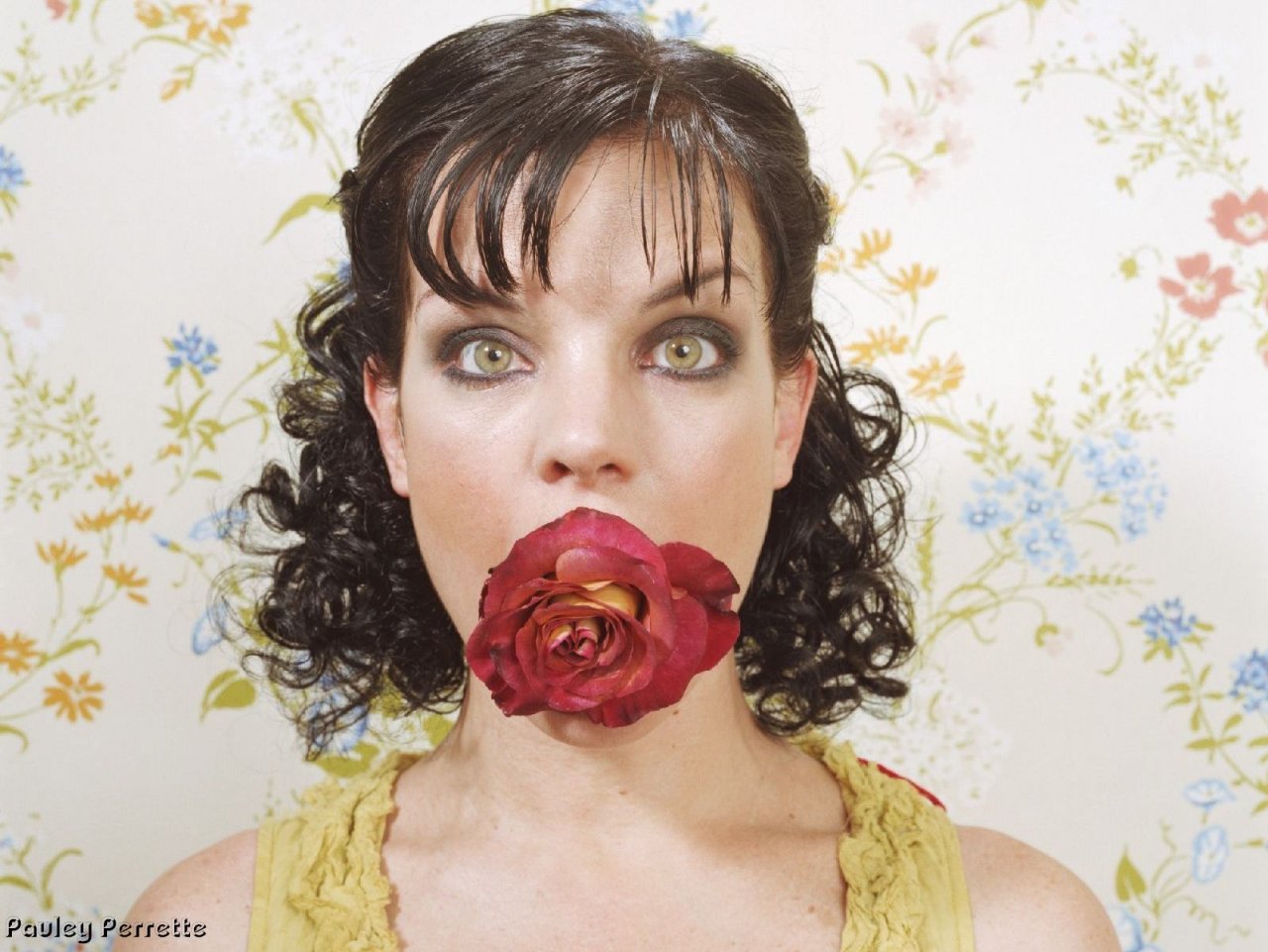 Pauley Perrette leaked wallpapers