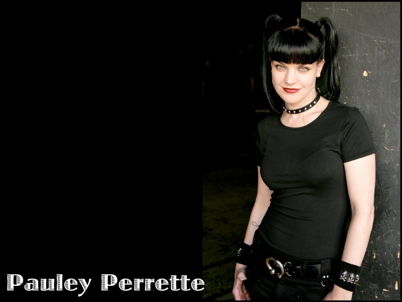 Pauley Perrette leaked wallpapers