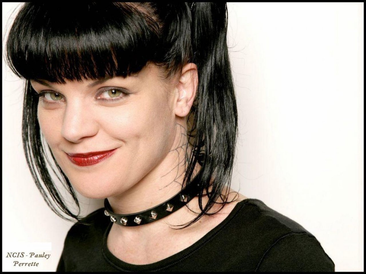 Pauley Perrette leaked wallpapers