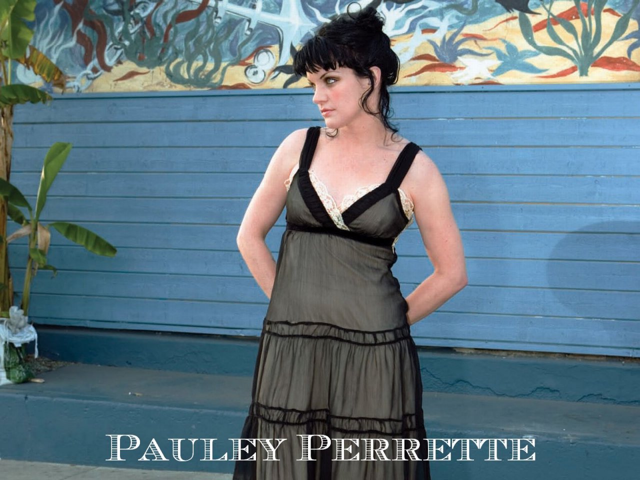 Pauley Perrette leaked wallpapers