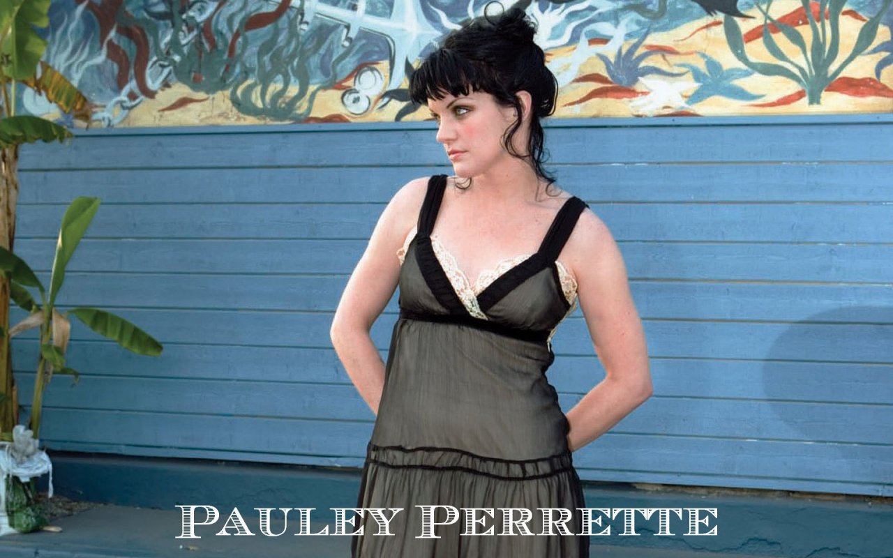 Pauley Perrette leaked wallpapers