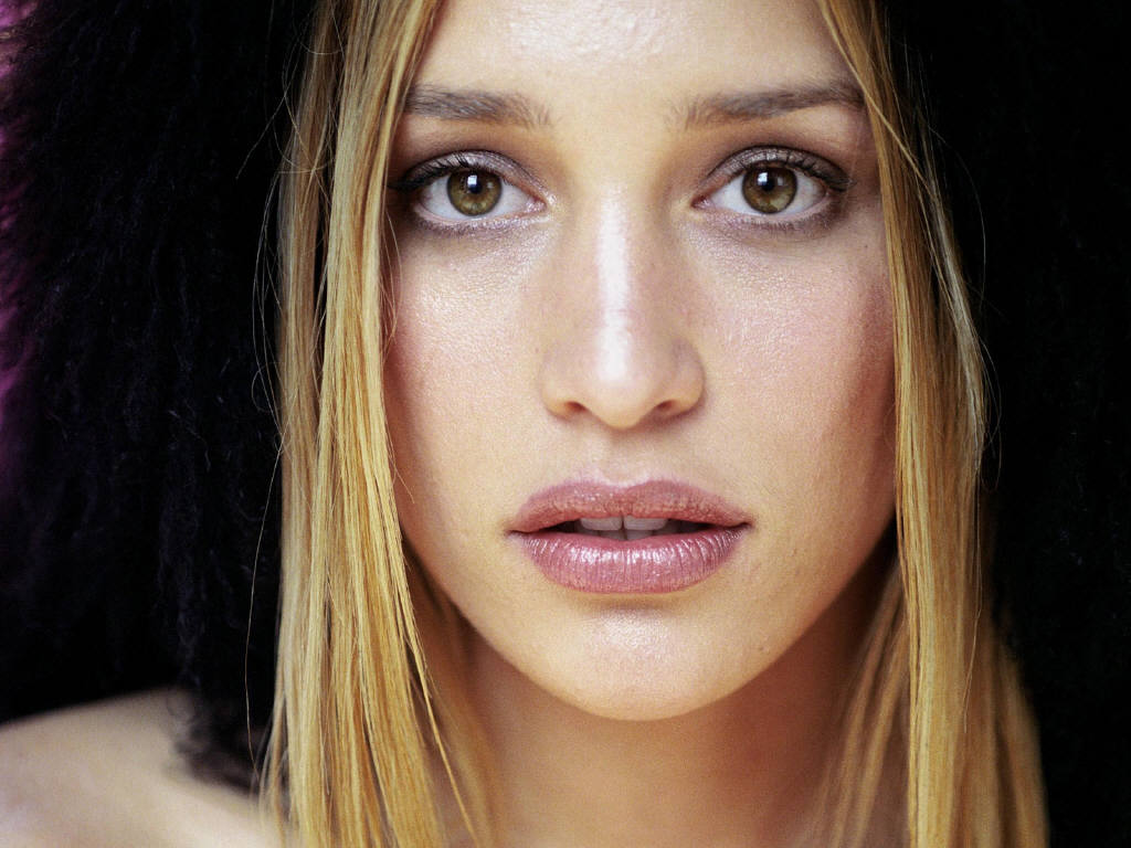 Piper Perabo leaked wallpapers