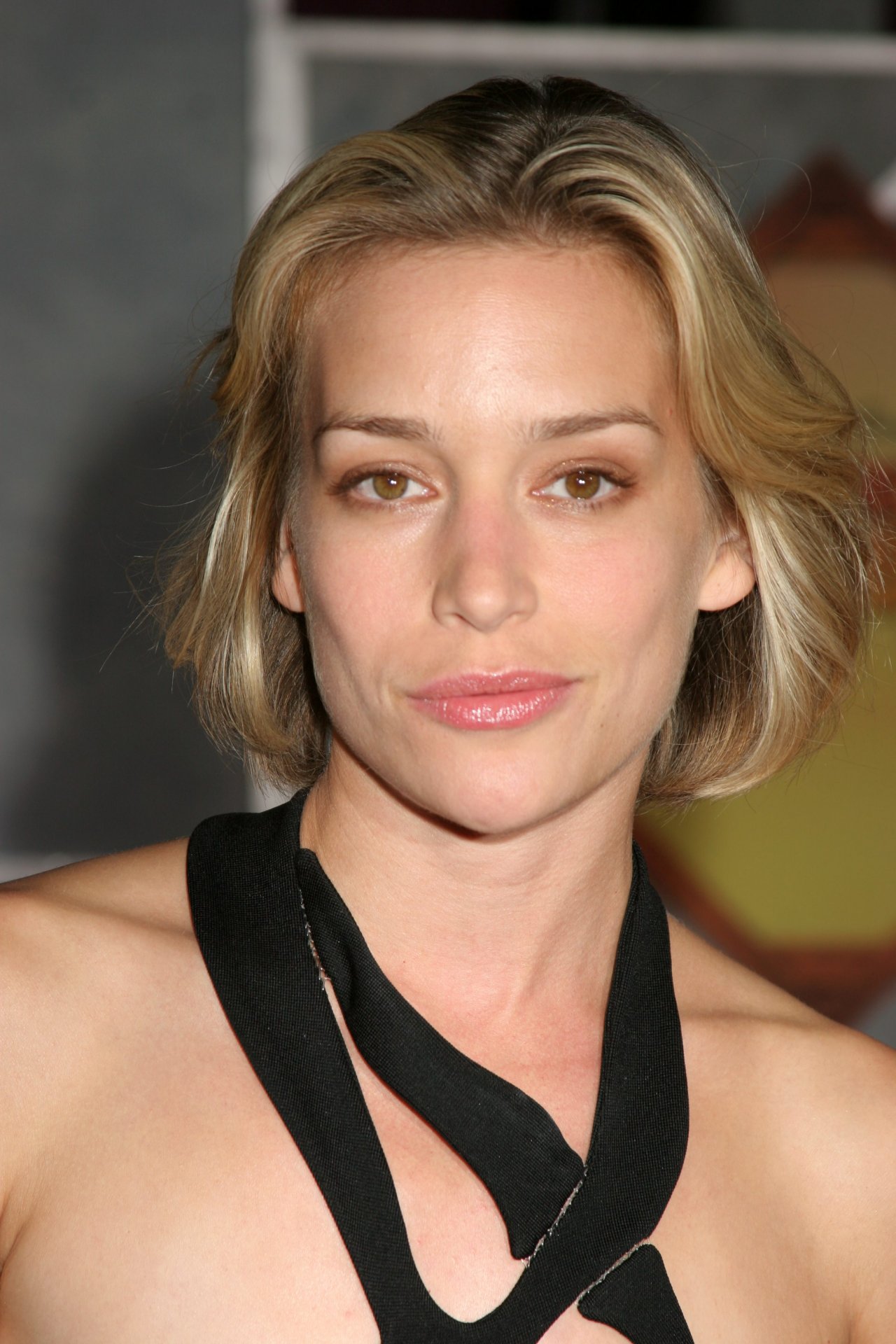 Piper Perabo leaked wallpapers