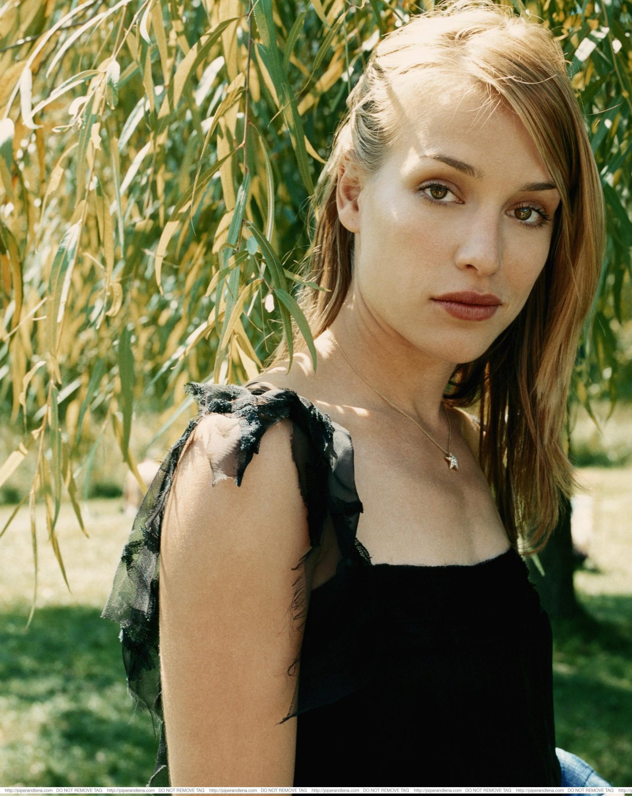 Piper Perabo leaked wallpapers