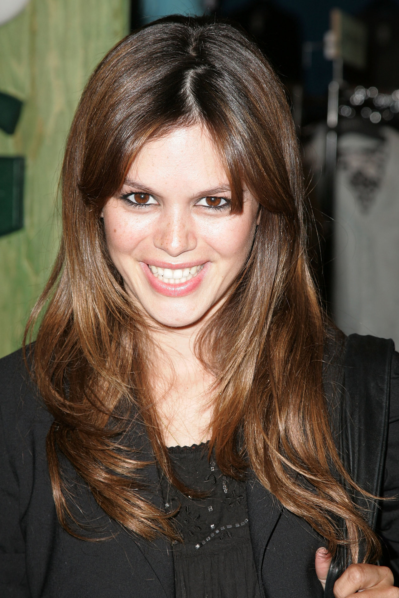 Rachel Bilson leaked wallpapers