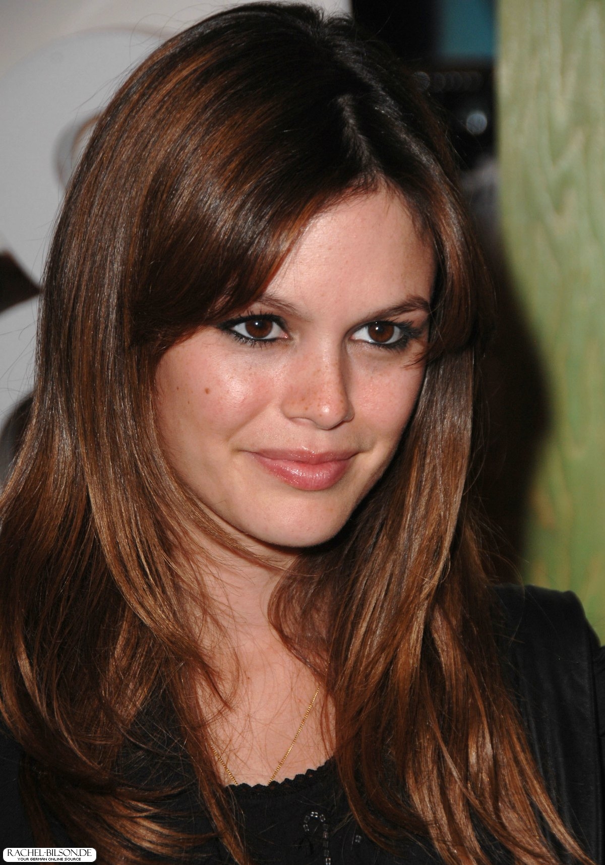 Rachel Bilson leaked wallpapers