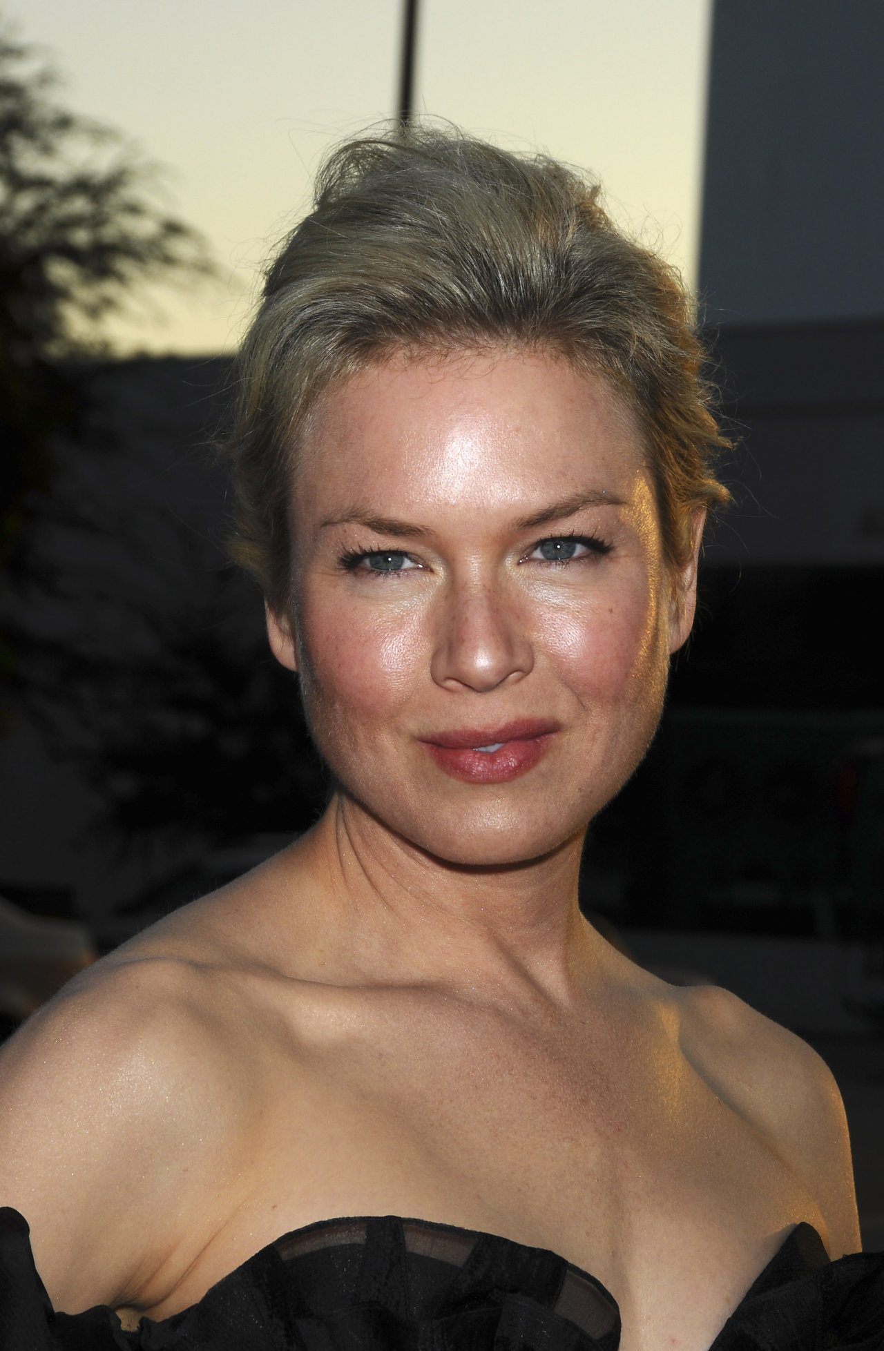 Renee Zellweger leaked wallpapers