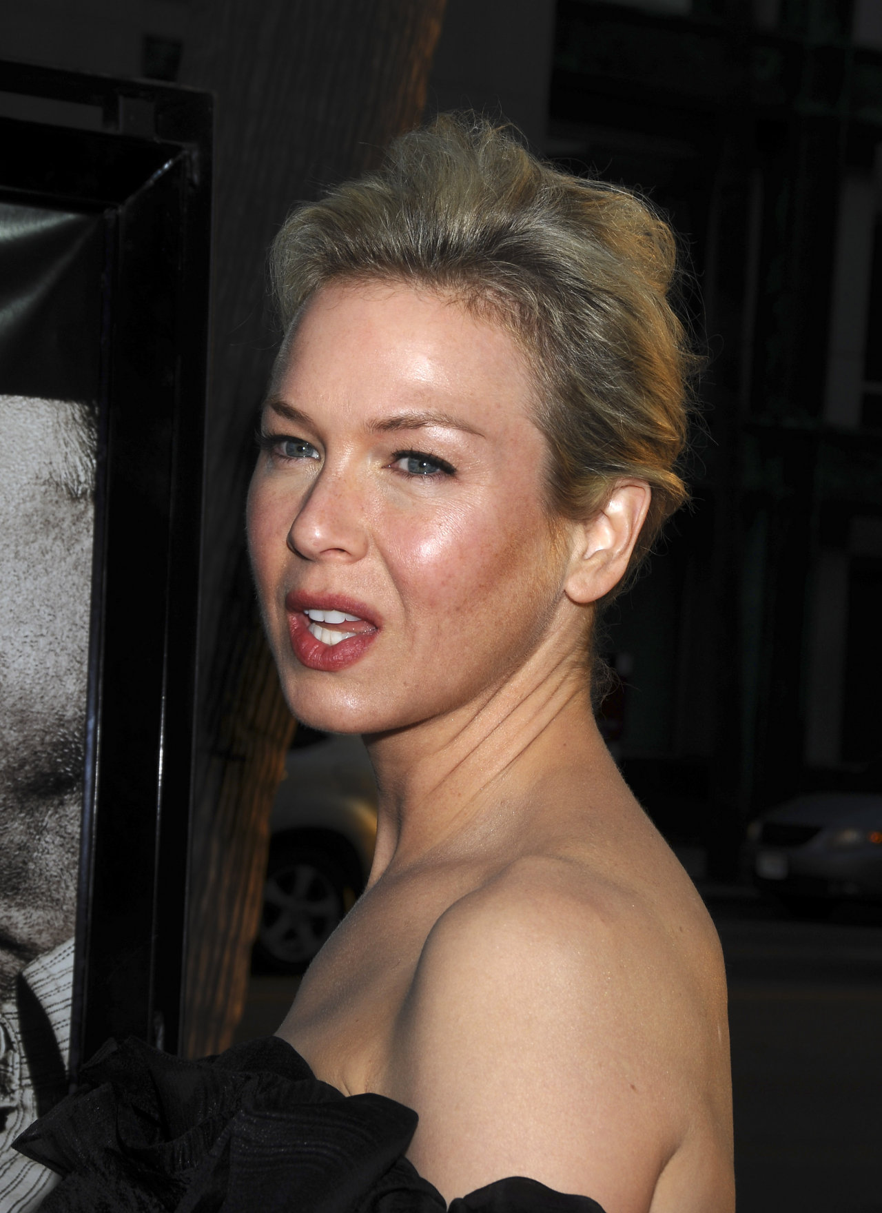 Renee Zellweger leaked wallpapers