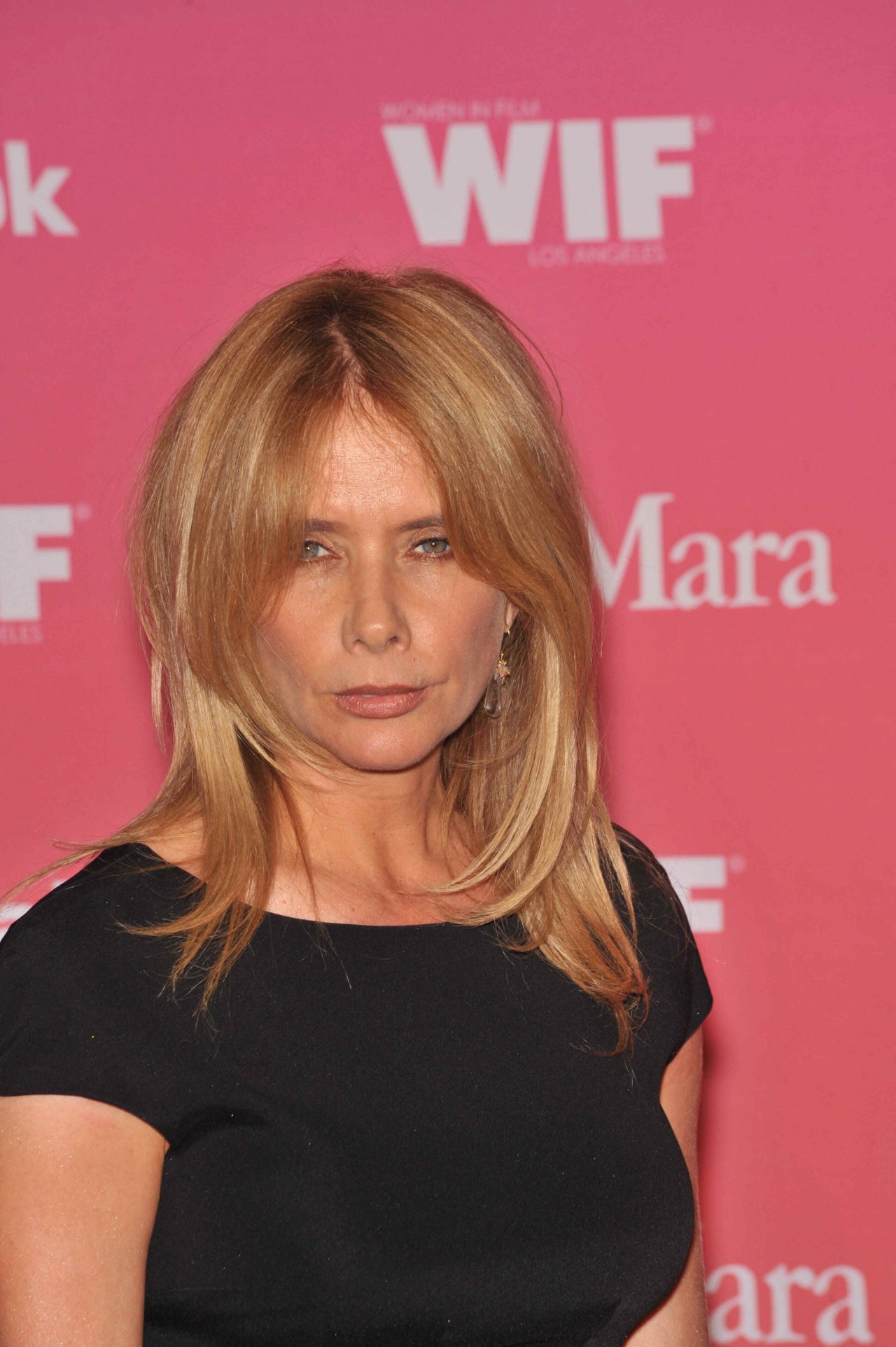 Rosanna Arquette leaked wallpapers