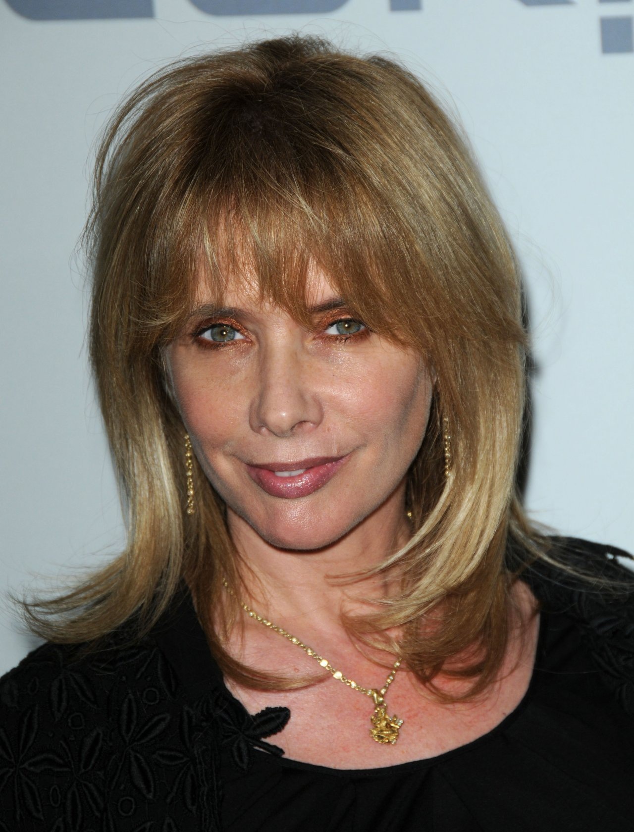 Rosanna Arquette leaked wallpapers