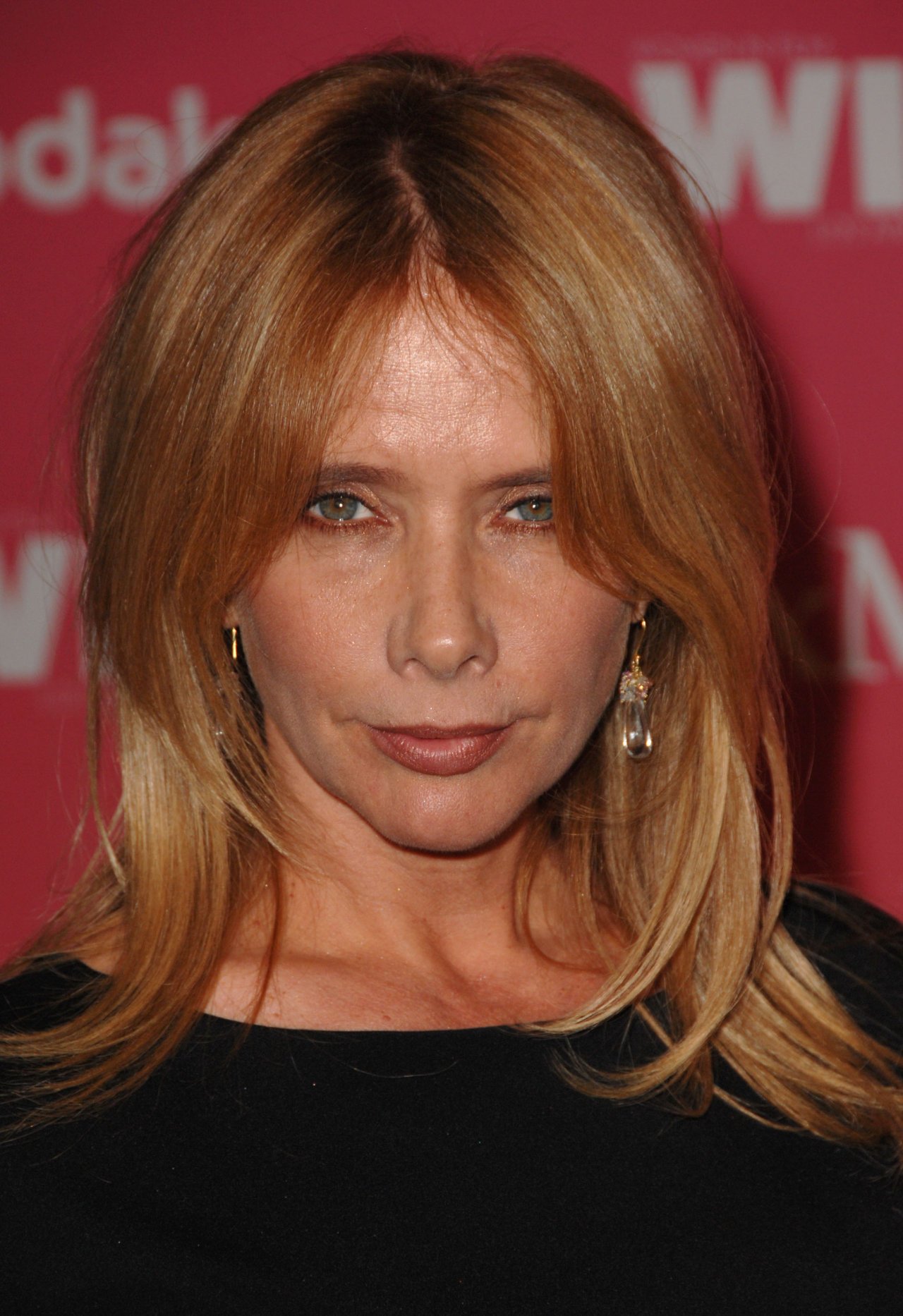 Rosanna Arquette leaked wallpapers