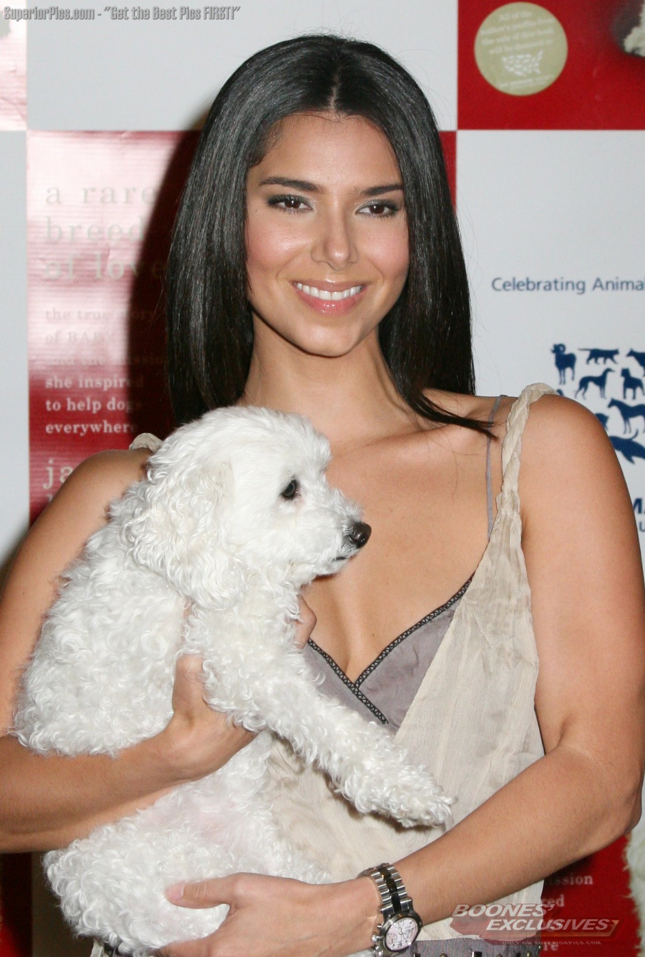 Roselyn Sanchez leaked wallpapers