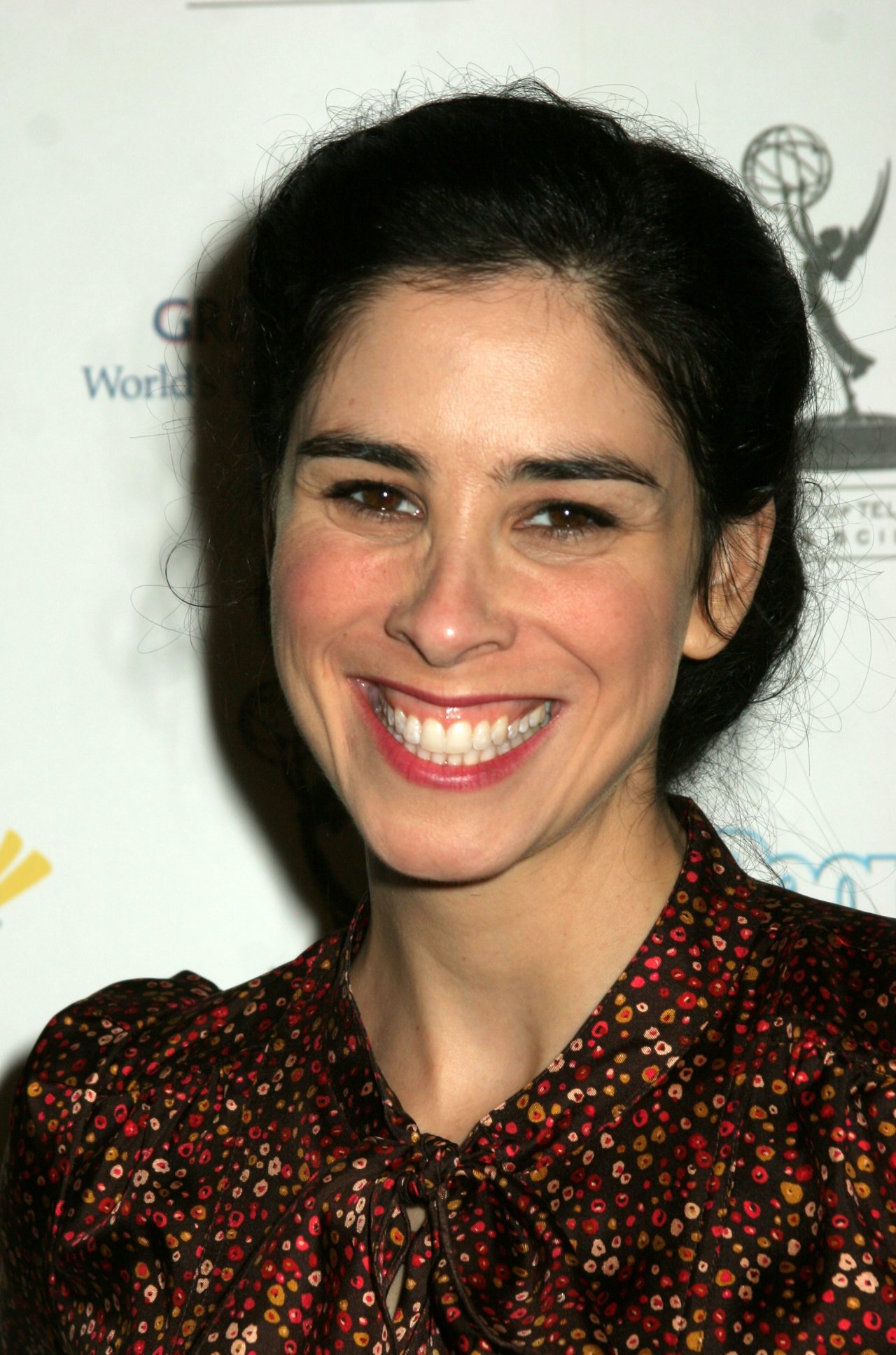 Sarah Silverman leaked wallpapers