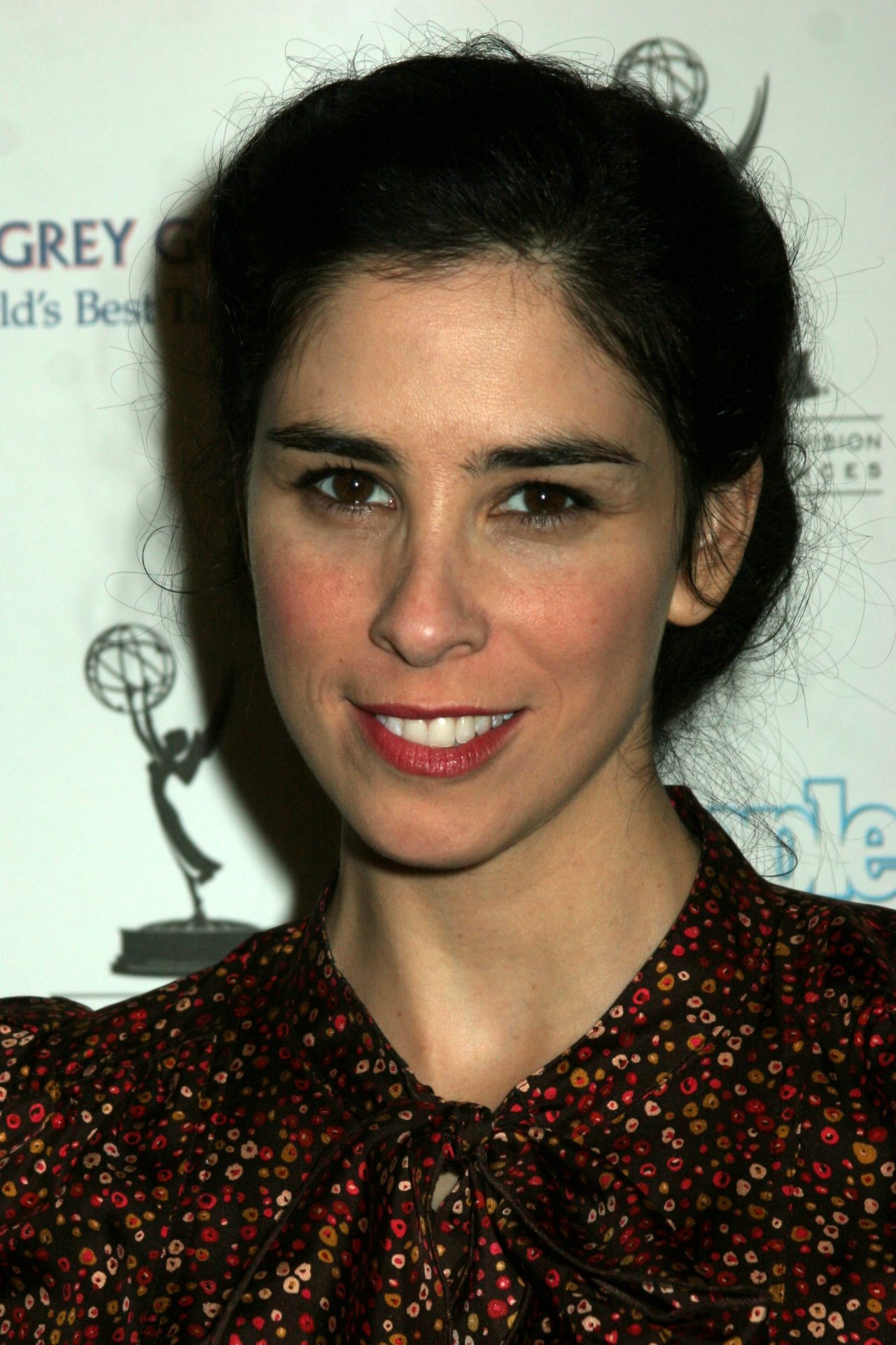 Sarah Silverman leaked wallpapers