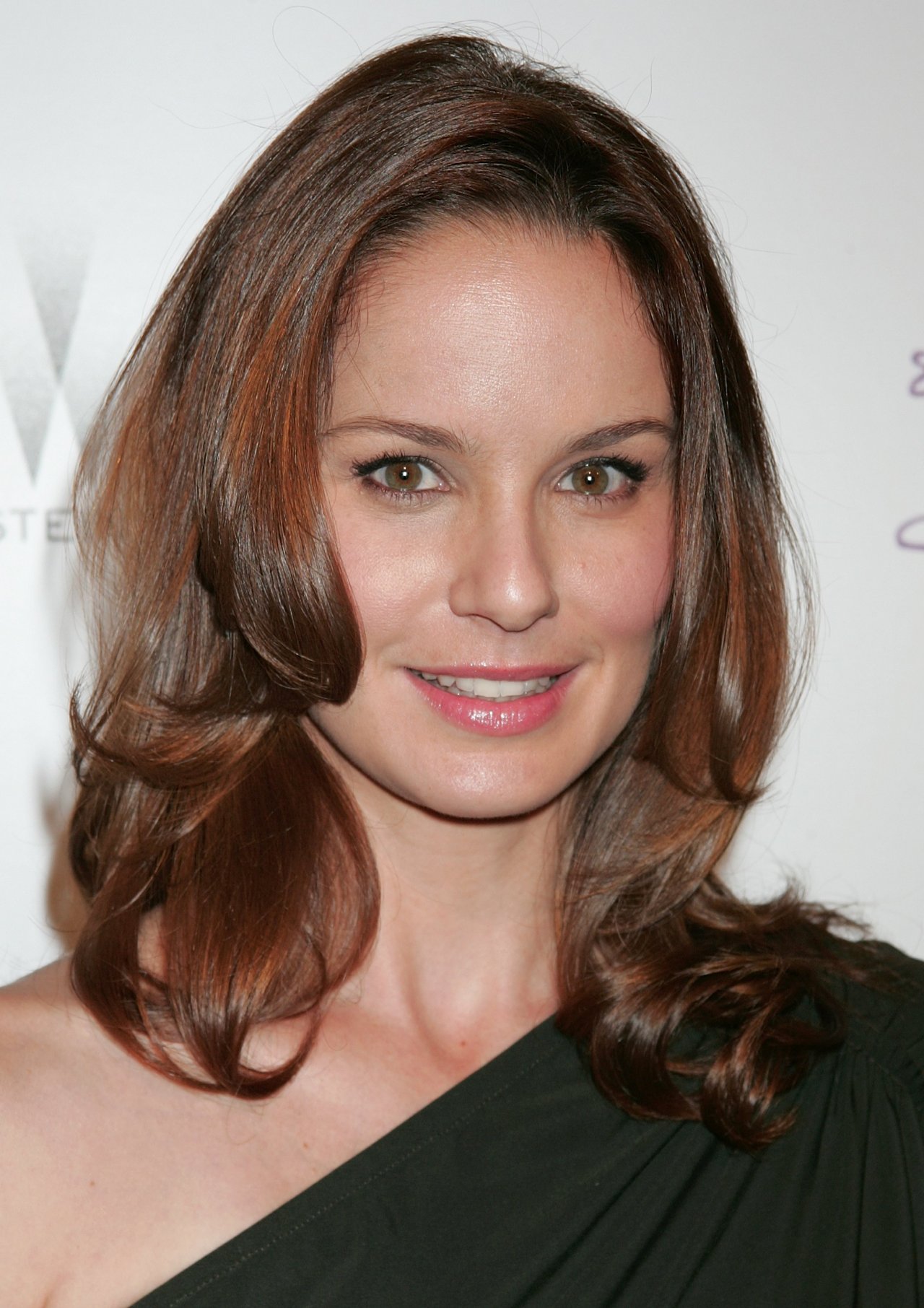 Sarah Wayne Callies leaked wallpapers