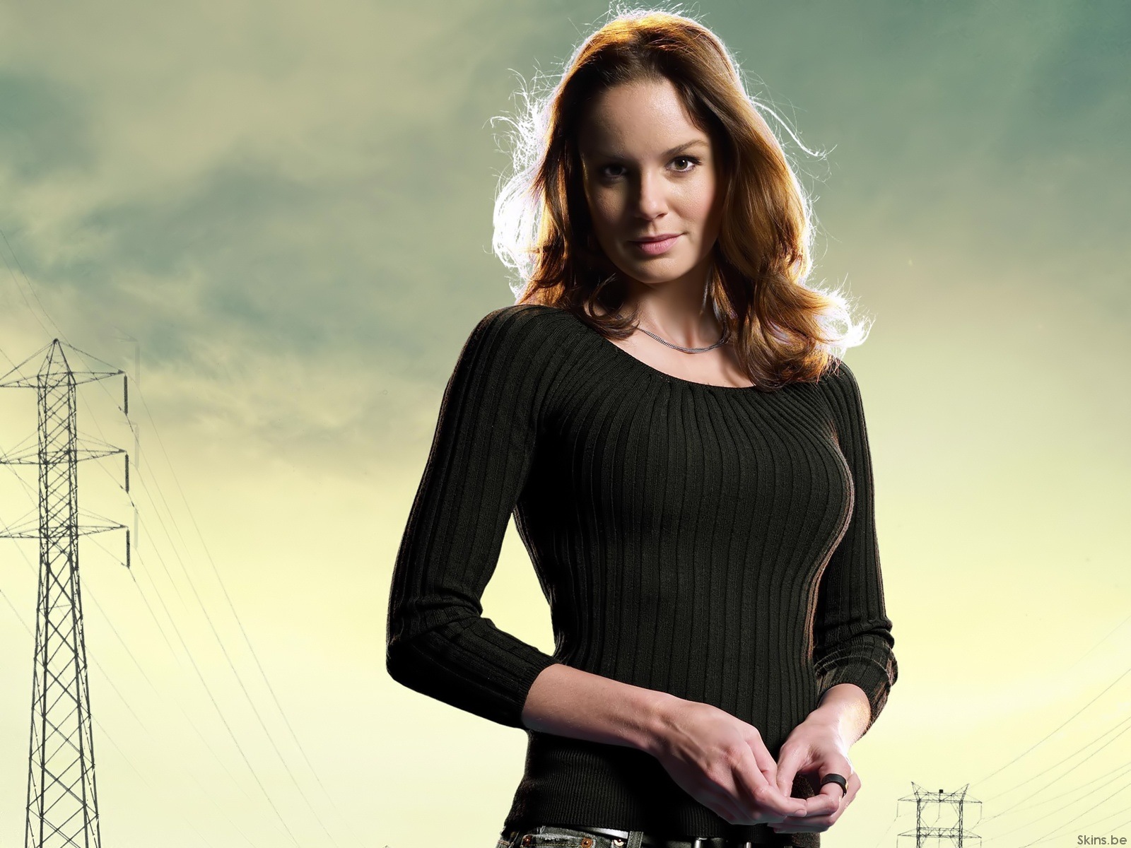 Sarah Wayne Callies leaked wallpapers