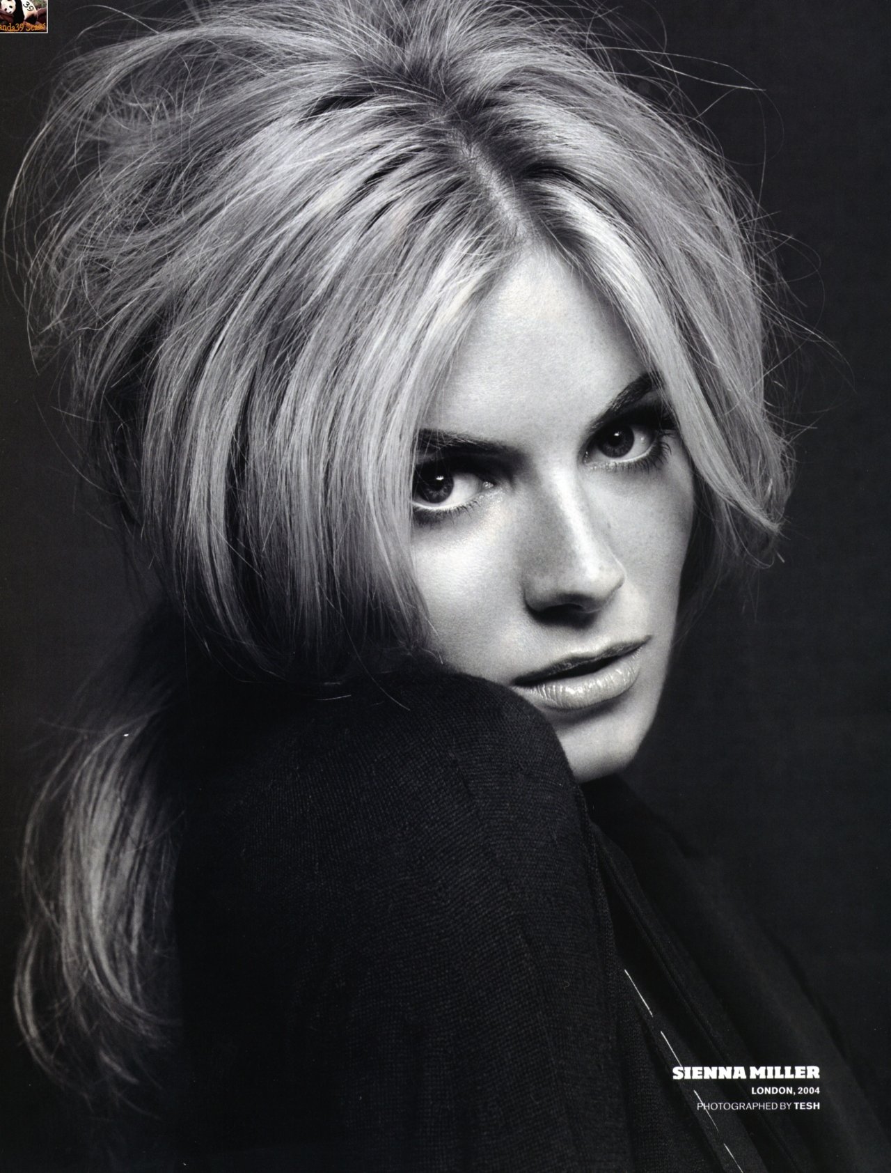 Sienna Miller leaked wallpapers