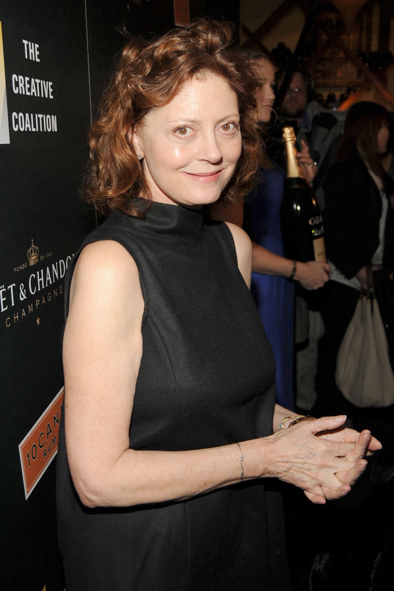 Susan Sarandon leaked wallpapers