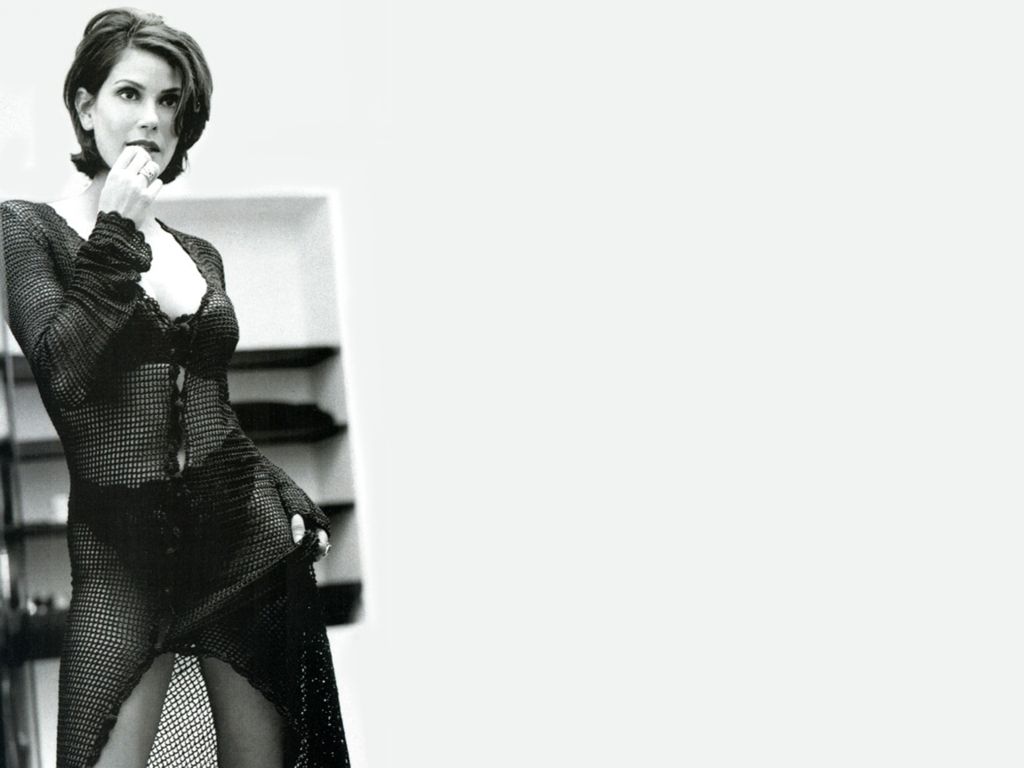 Teri Hatcher leaked wallpapers