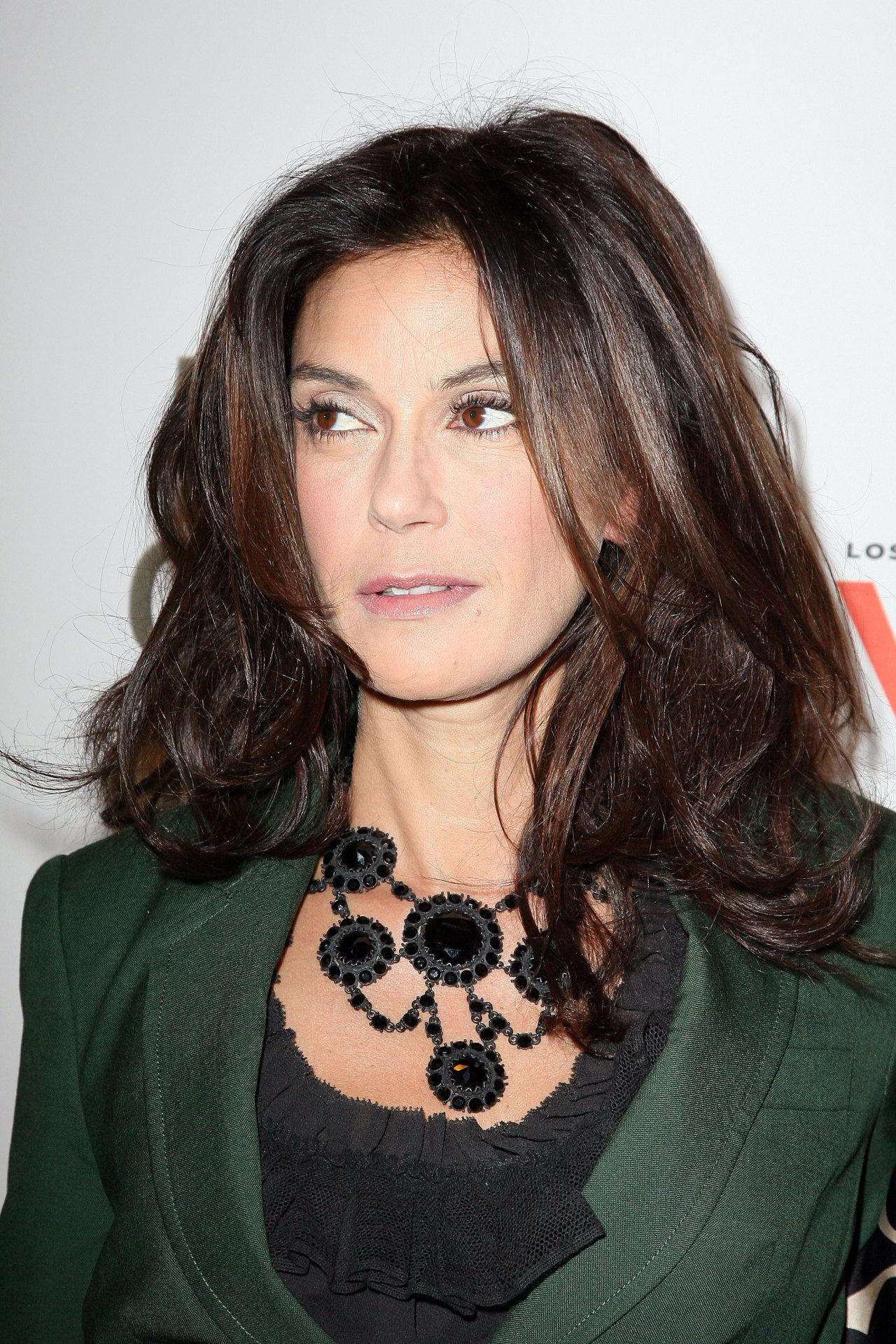 Teri Hatcher leaked wallpapers