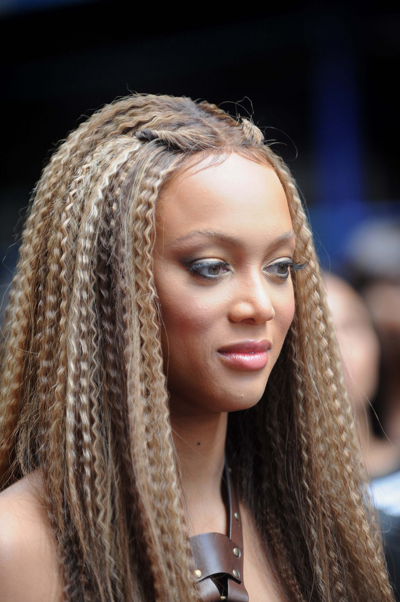 Tyra Banks leaked wallpapers